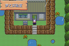 《口袋妖怪漆黑的魅影》5.0图文攻略