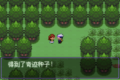 《口袋妖怪漆黑的魅影》5.0图文攻略