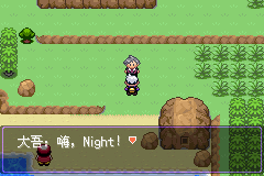 《口袋妖怪漆黑的魅影》5.0图文攻略