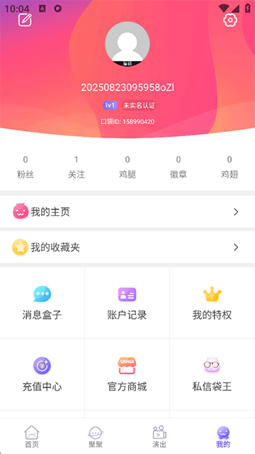 口袋48