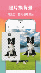 去水印抠图大师