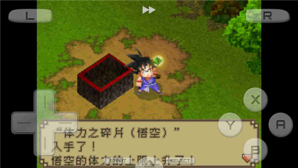 龙珠DS