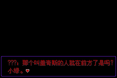 《口袋妖怪漆黑的魅影》5.0图文攻略