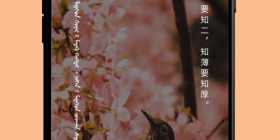 免费扫一扫识别古汉字手机软件合集