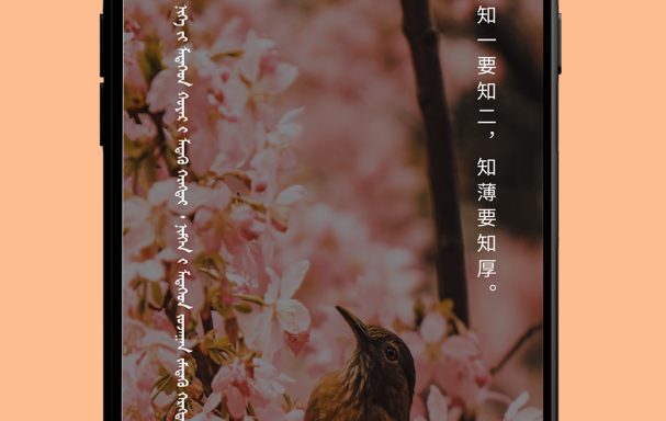 免费扫一扫识别古汉字手机软件合集