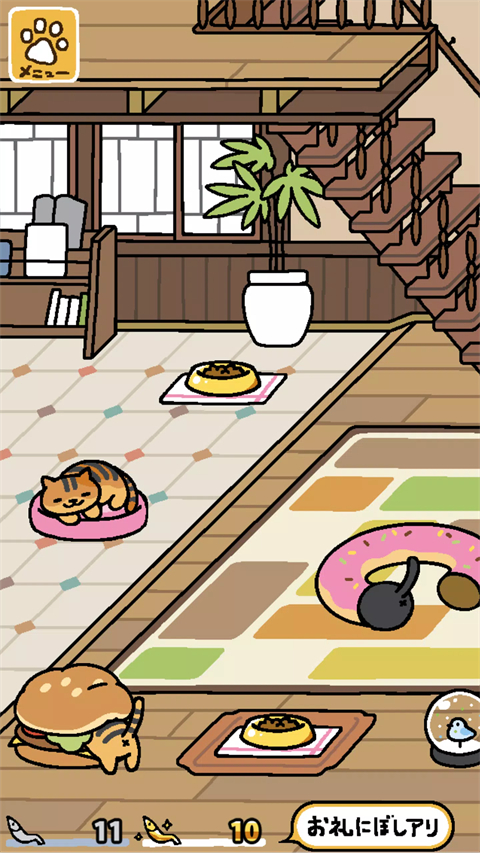 猫咪后院