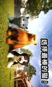 迷你小猫城市生存