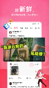 皮皮虾app