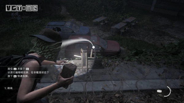 《最后生还者》第一部全奖杯收集攻略