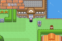 《口袋妖怪漆黑的魅影》5.0图文攻略