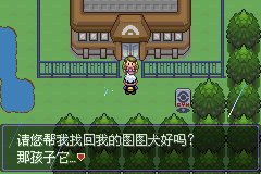 《口袋妖怪漆黑的魅影》5.0图文攻略