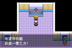 《口袋妖怪漆黑的魅影》5.0图文攻略