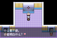 《口袋妖怪漆黑的魅影》5.0图文攻略