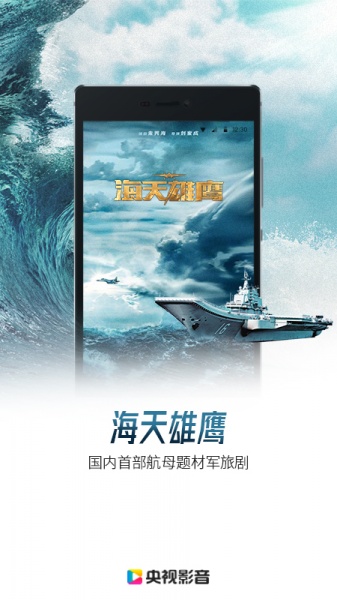 央视影音大字版