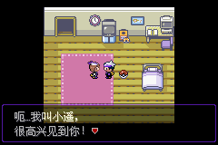 《口袋妖怪漆黑的魅影》5.0图文攻略