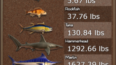 《纳迪亚之宝》钓鱼技巧攻略大全