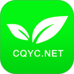 茶竹永川网app