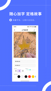 图片加文字秀app