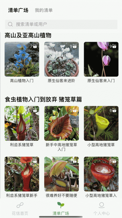 花信
