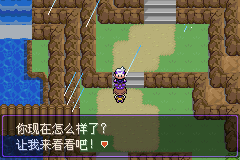 《口袋妖怪漆黑的魅影》5.0图文攻略