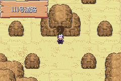 《口袋妖怪漆黑的魅影》5.0图文攻略