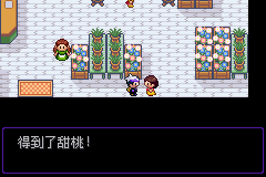 《口袋妖怪漆黑的魅影》5.0图文攻略