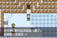 《口袋妖怪漆黑的魅影》5.0图文攻略