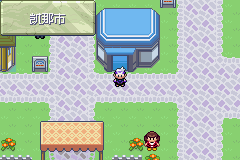 《口袋妖怪漆黑的魅影》5.0图文攻略