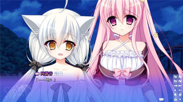 《德露妲的堕落与侵犯》作弊码是多少