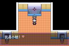 《口袋妖怪漆黑的魅影》5.0图文攻略