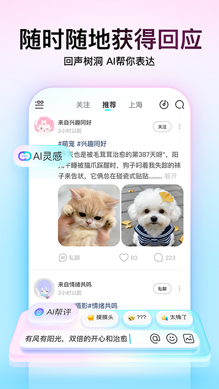 soul内部版