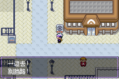 《口袋妖怪漆黑的魅影》5.0图文攻略