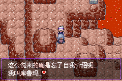 《口袋妖怪漆黑的魅影》5.0图文攻略