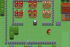 《口袋妖怪漆黑的魅影》5.0图文攻略