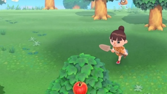 集合啦动物森友会