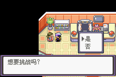 《口袋妖怪漆黑的魅影》5.0图文攻略