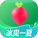 叮咚买菜app