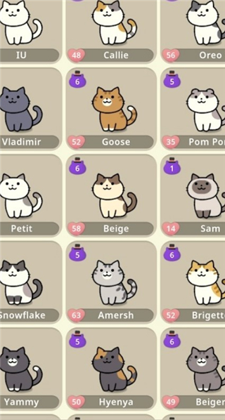 神秘猫咪字典
