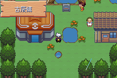 《口袋妖怪漆黑的魅影》5.0图文攻略