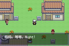 《口袋妖怪漆黑的魅影》5.0图文攻略