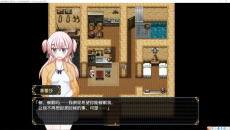 《女盗贼希尔费与不眠岛》作弊码是什么