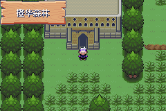 《口袋妖怪漆黑的魅影》5.0图文攻略