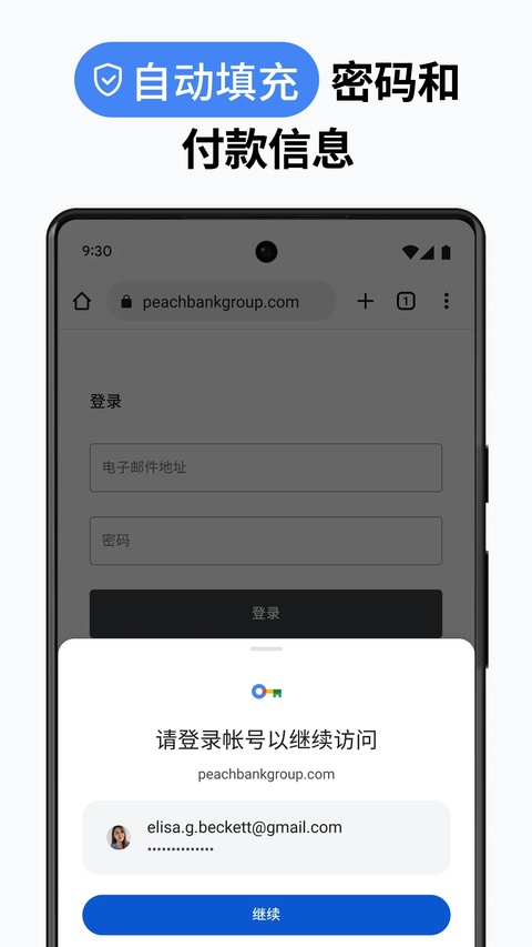 Google Chorm浏览器
