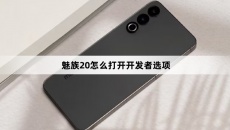 魅族20怎么打开开发者选项