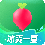叮咚买菜app