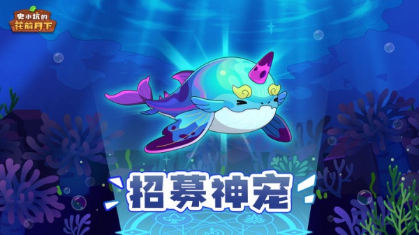 史小坑的花前月下