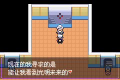 《口袋妖怪漆黑的魅影》5.0图文攻略