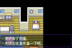 《口袋妖怪漆黑的魅影》5.0图文攻略