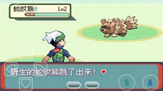 口袋妖怪究极绿宝石