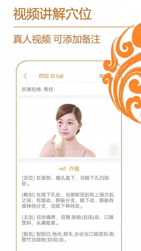 经络养生